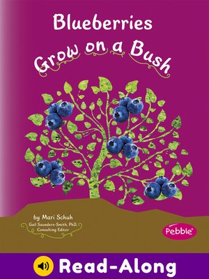 cover image of Blueberries Grow on a Bush
